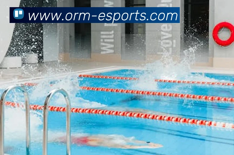 体育下注平台生态图